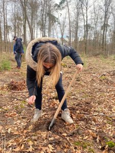 Das Bild zeigt Kathrin Hildebrand, die Geschäftsführerin von Tillmann Verpackungen, wie sie in einem deutschen Wald einen Sprössling pflanzt. Im Hintergrund sind viele Bäume sowie 2 Männer zu sehen.